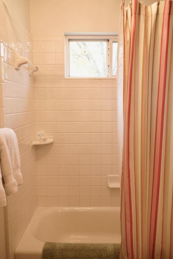Onion Creek Cottage Austin Extérieur photo