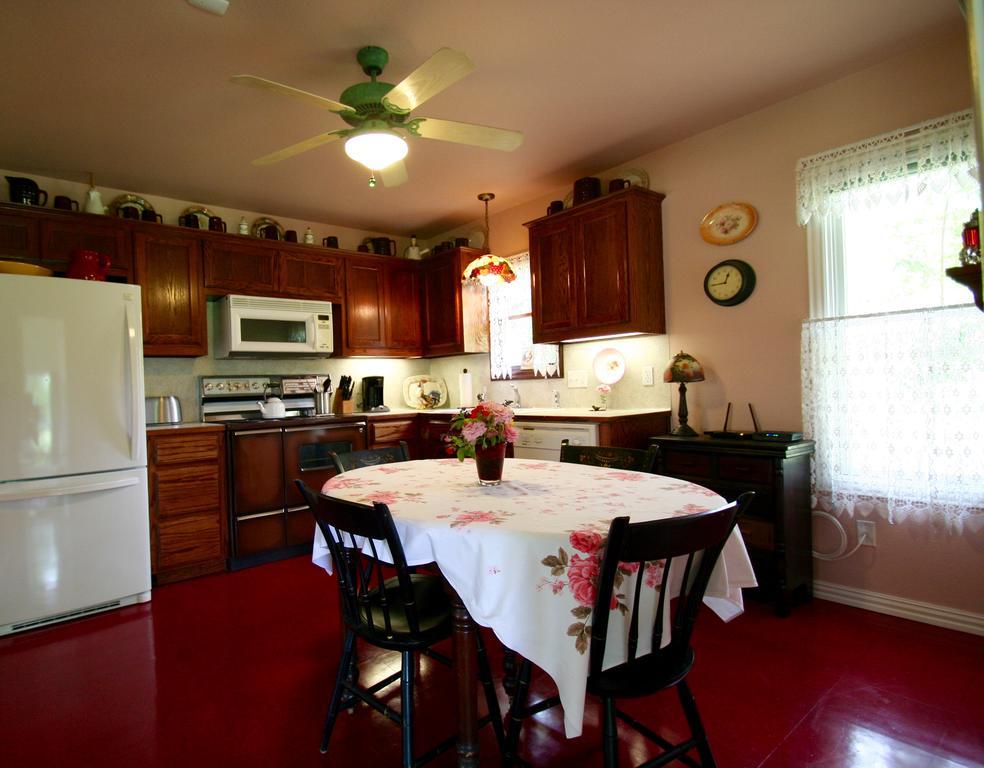 Onion Creek Cottage Austin Extérieur photo