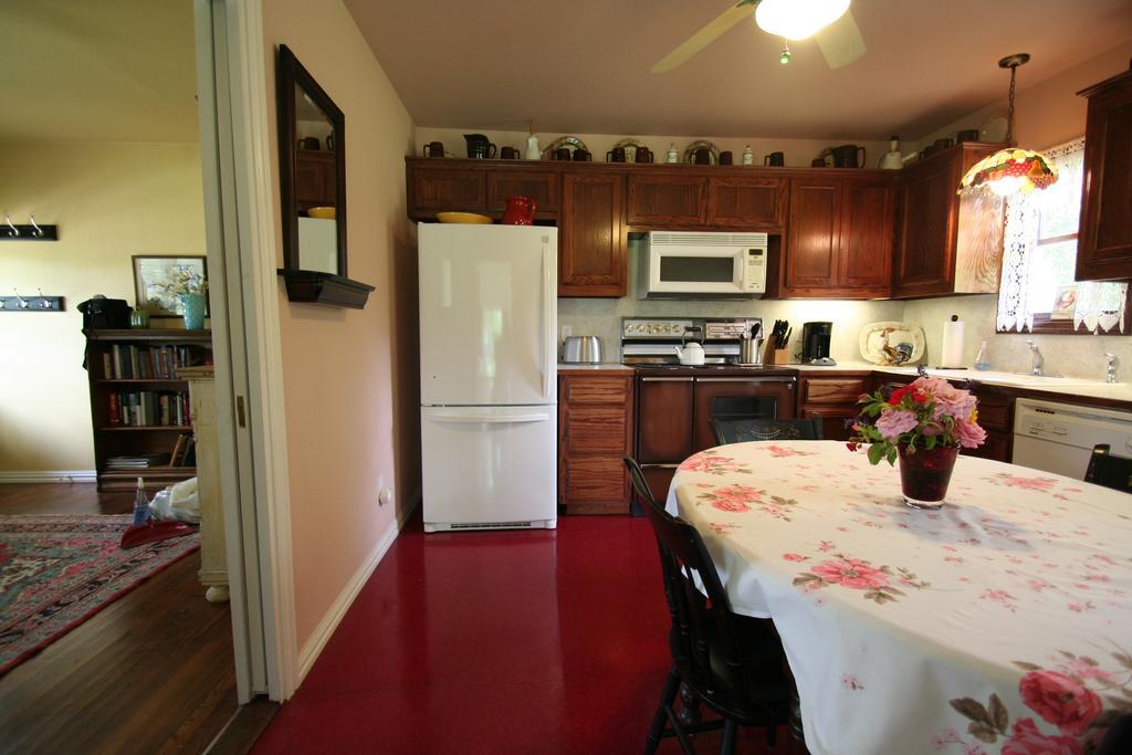 Onion Creek Cottage Austin Extérieur photo
