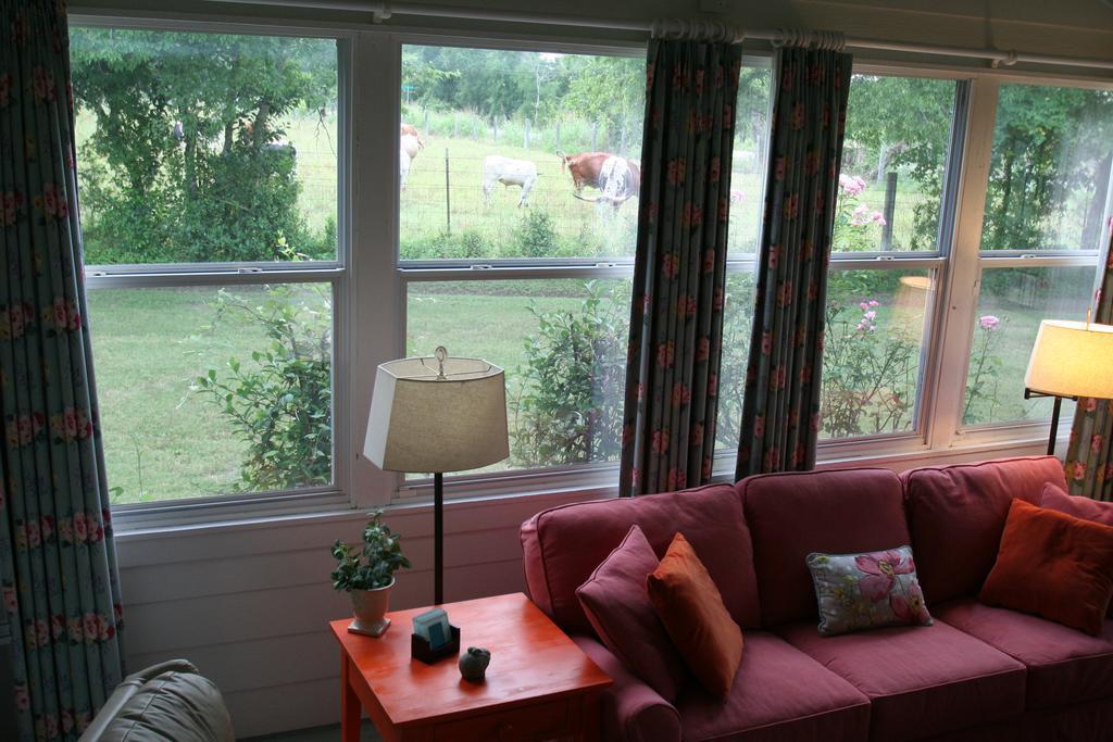 Onion Creek Cottage Austin Extérieur photo