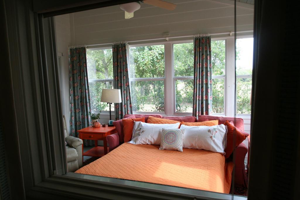 Onion Creek Cottage Austin Extérieur photo