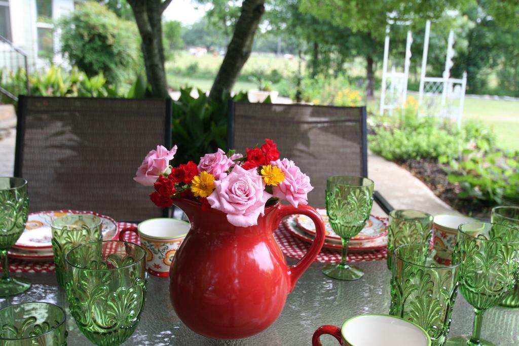 Onion Creek Cottage Austin Extérieur photo