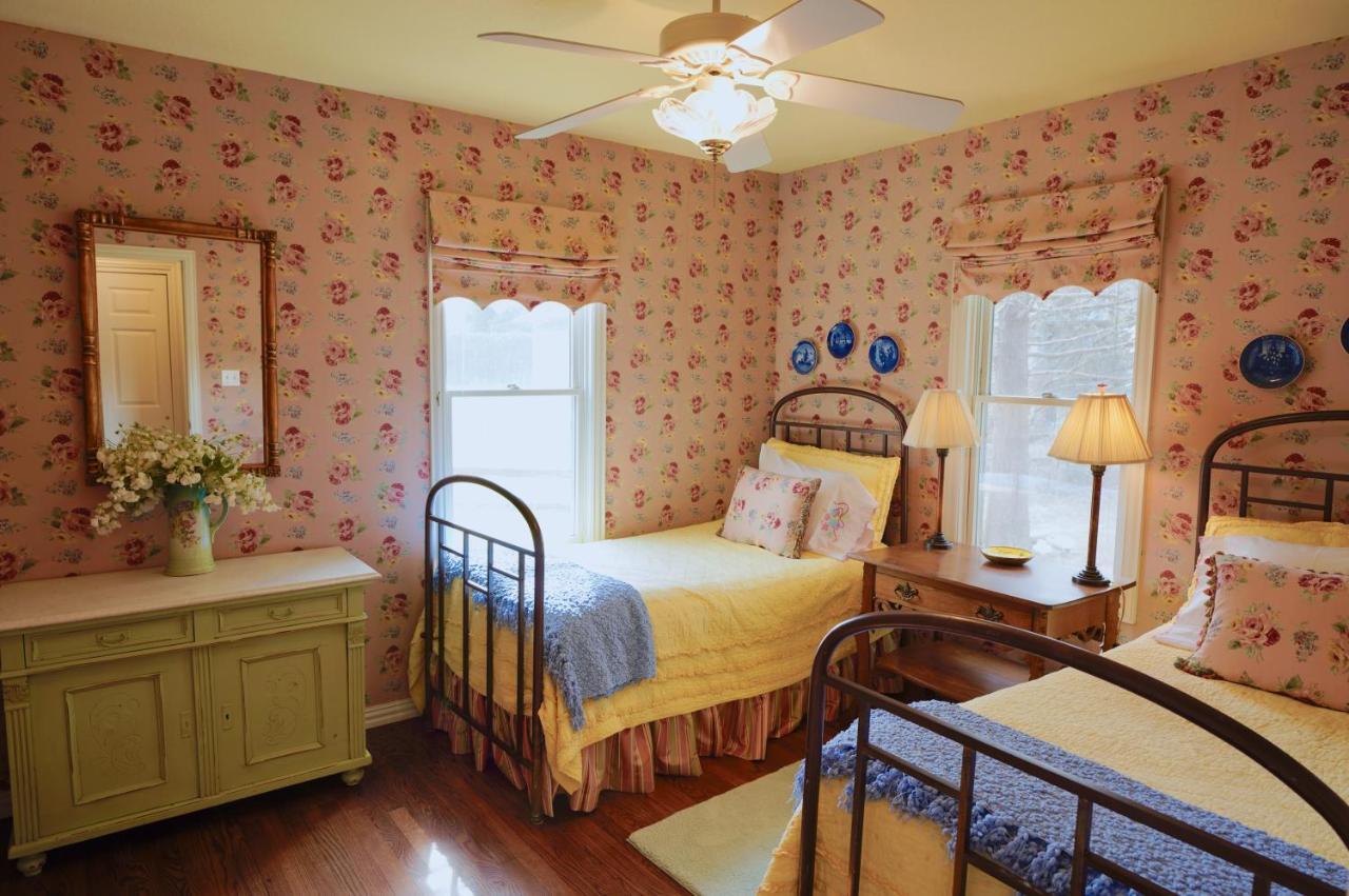 Onion Creek Cottage Austin Extérieur photo